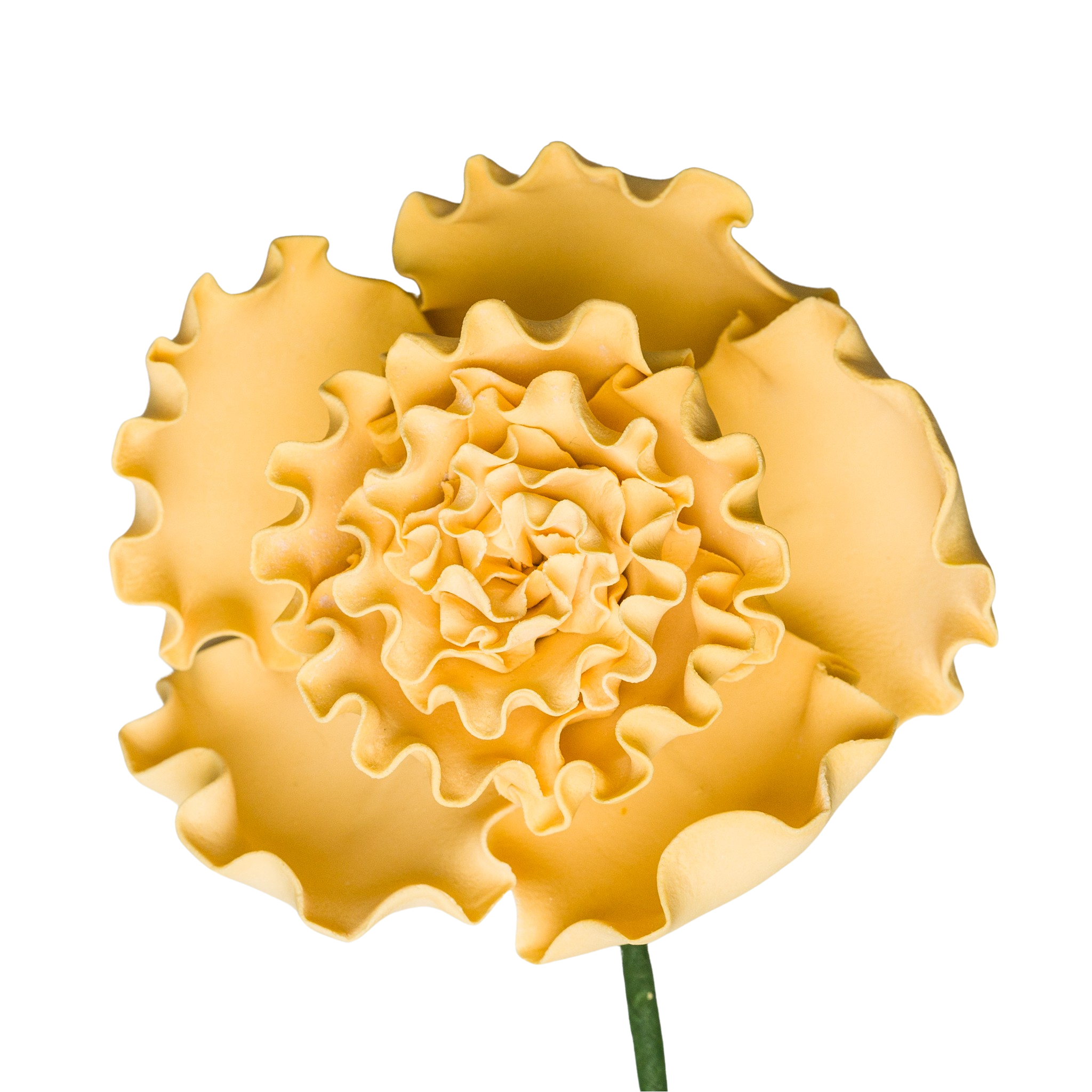 2.5" Carnation - Vintage Yellow