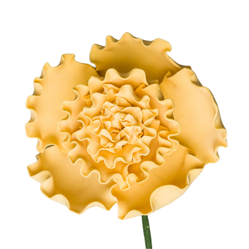 2.5" Carnation - Vintage Yellow