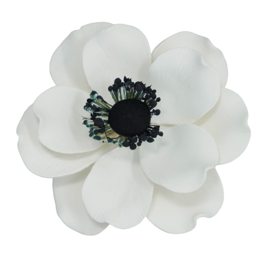 3.5" Anemone - White