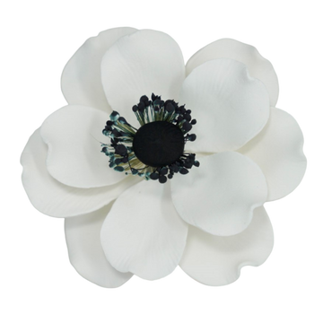 3.5" Anemone - White